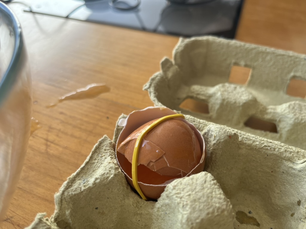 EGG Performance 2